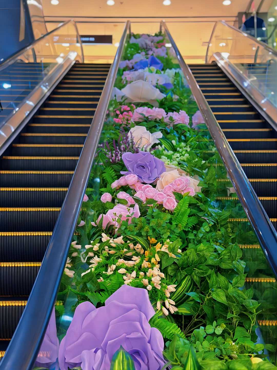 How to maintain shopping centre escalator?